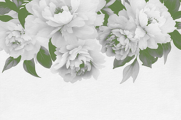 Grupo de flores blancas con hojas verdes Grupo de flores blancas con hojas verdes