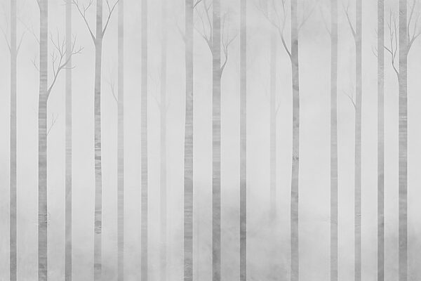 Group of trees in fog