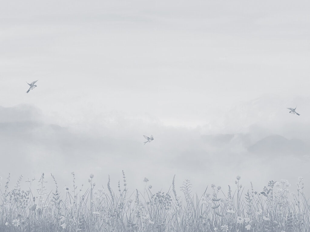 Pájaro volando sobre un campo de flores Pájaro volando sobre un campo de flores