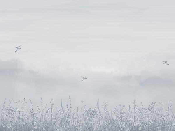 Pájaro volando sobre un campo de flores Pájaro volando sobre un campo de flores