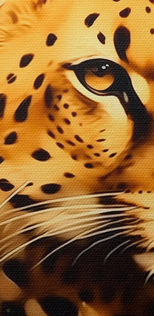 Cheetah with orange spots Cheetah with orange spots