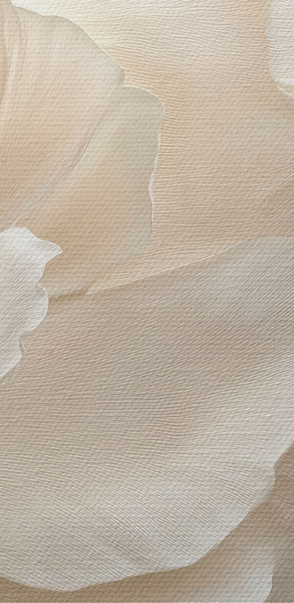Delicate petals in soft hues