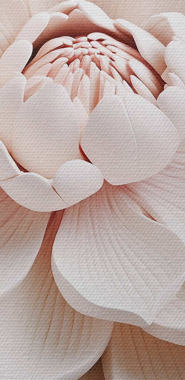 White flower with leaves White flower with leaves
