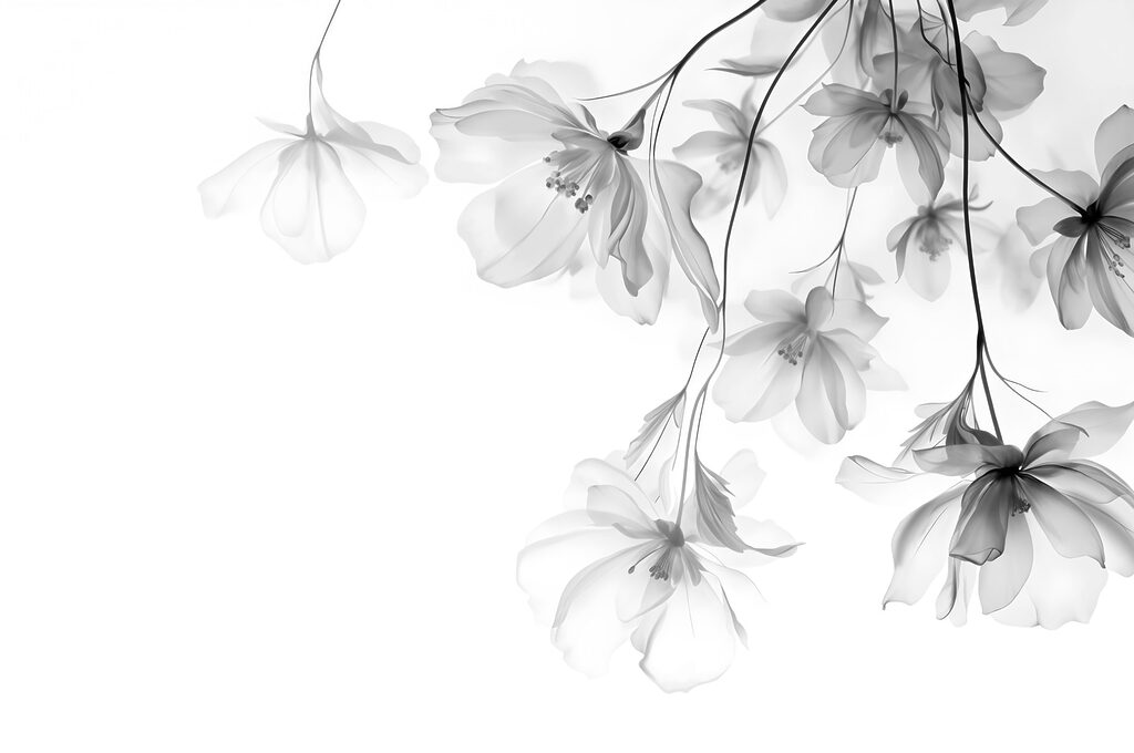 Delicadas flores sobre un fondo suave Delicadas flores sobre un fondo suave