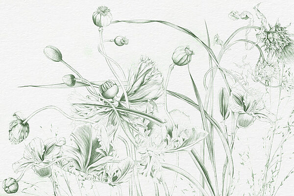 Dibujo de flores y hojas Dibujo de flores y hojas