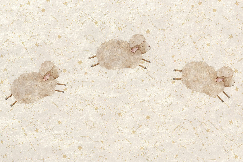 Group of sheep on a white background