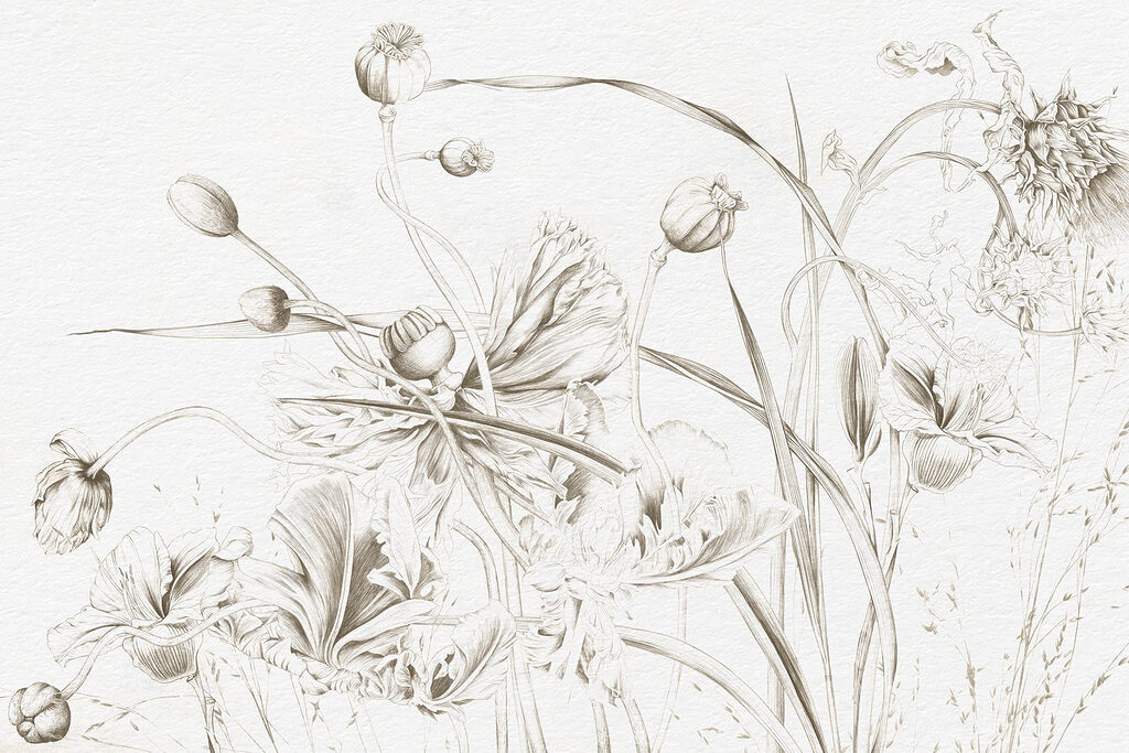 Dibujo de flores y hojas Dibujo de flores y hojas