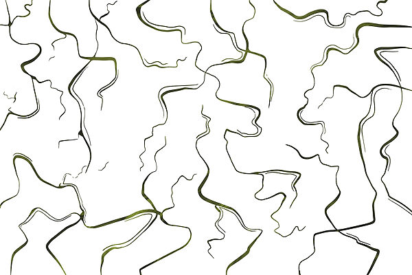 Flowing lines on a white canvas