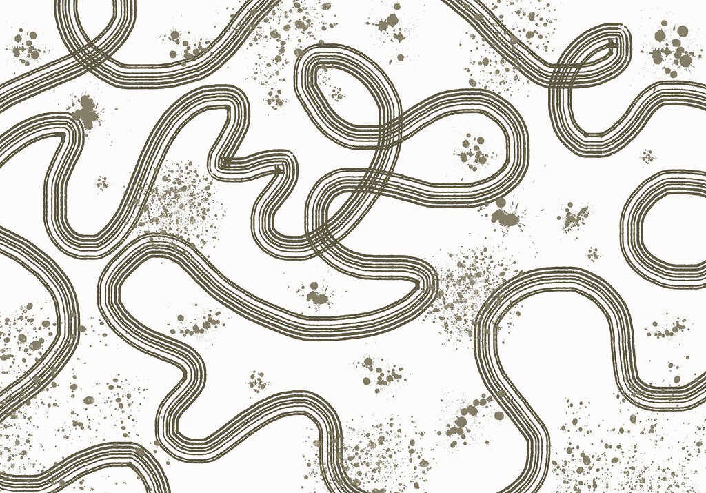 Plano en blanco y negro de un circuito de carreras Plano en blanco y negro de un circuito de carreras
