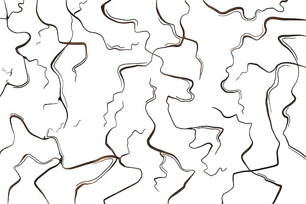 Curvas y líneas en contraste Curvas y líneas en contraste