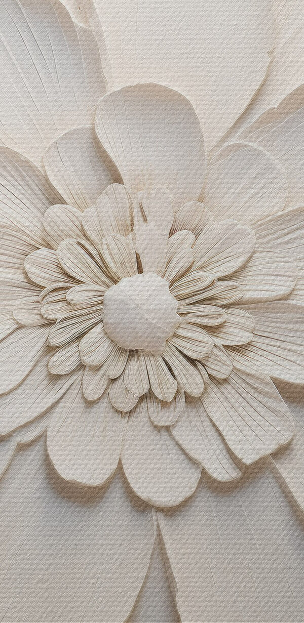 White flower with many petals White flower with many petals