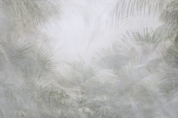 Fondo de niebla con palmeras Fondo de niebla con palmeras