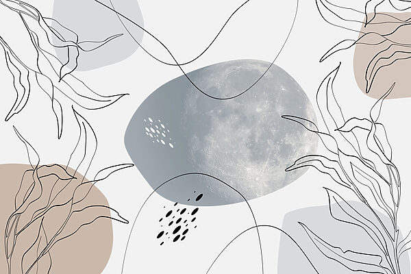 Luna y plantas sobre fondo blanco Luna y plantas sobre fondo blanco