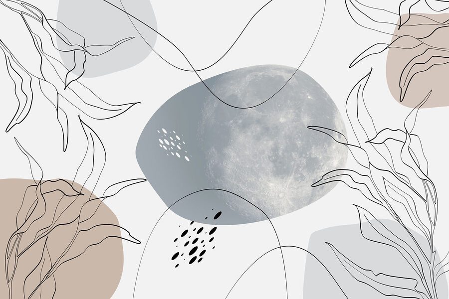 Luna y plantas sobre fondo blanco