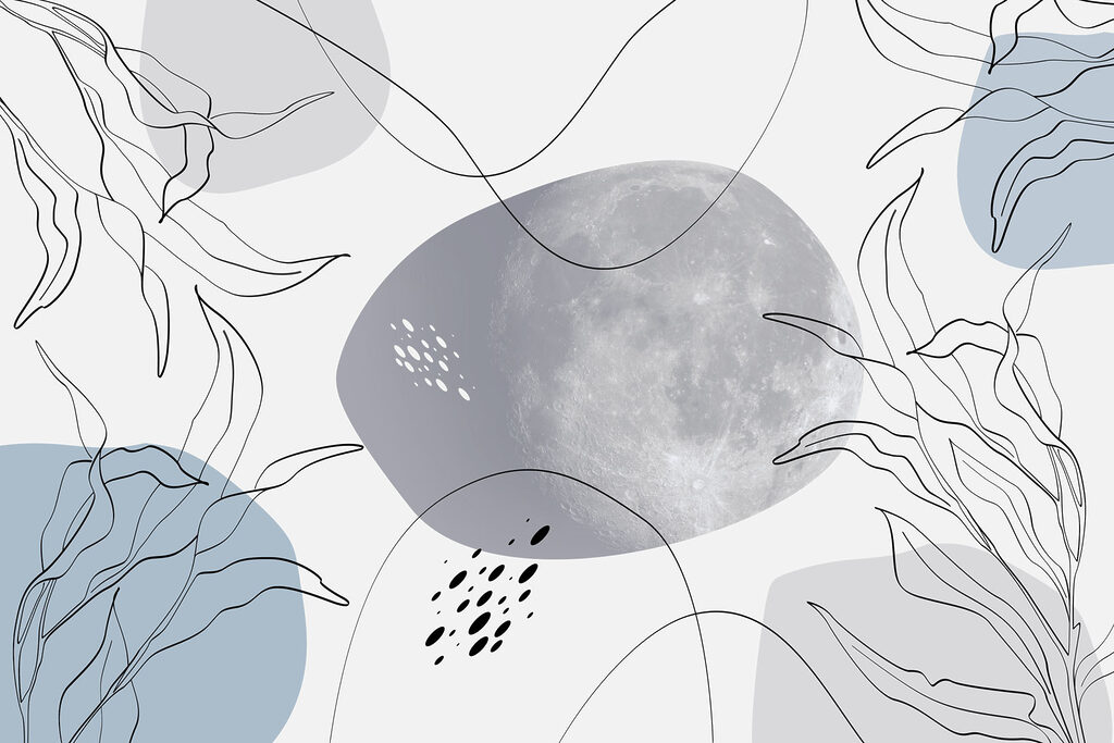 Luna y plantas sobre fondo blanco Luna y plantas sobre fondo blanco