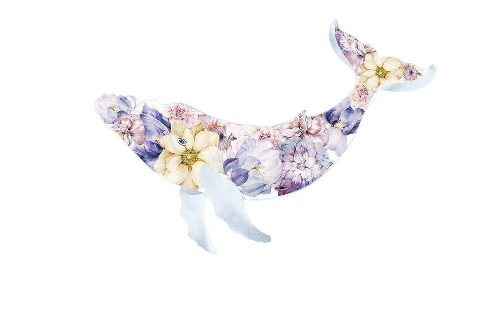 Ballena con flores Ballena con flores
