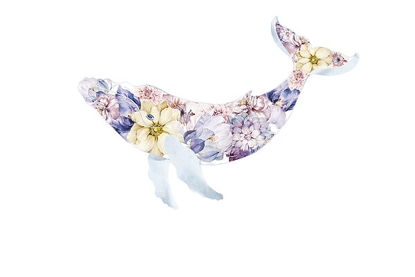 Ballena con flores Ballena con flores