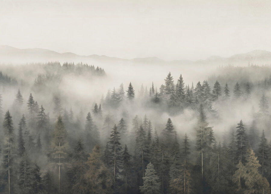 Bosque con niebla y montañas