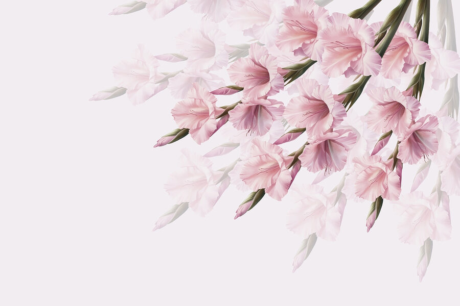 Grupo de flores rosas