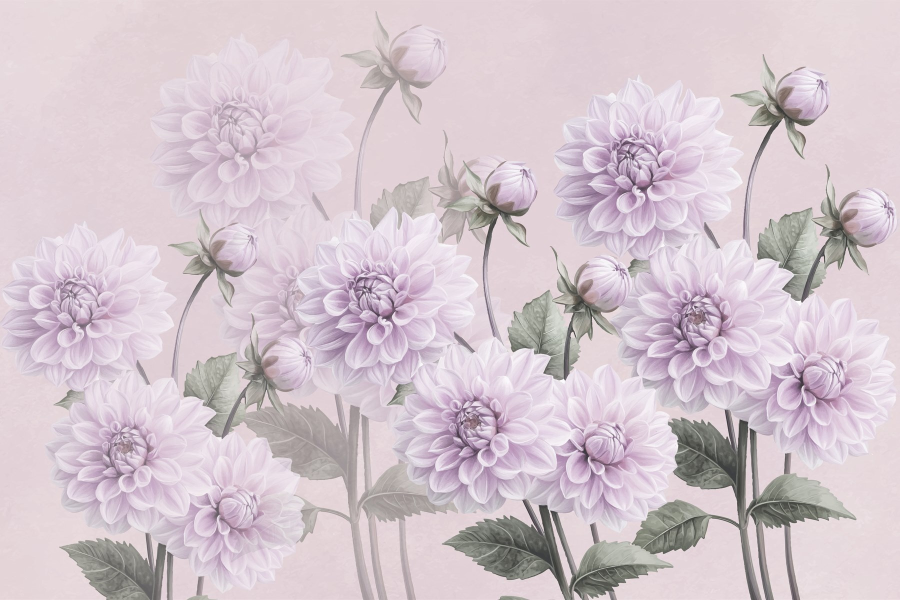 Group of purple flowers