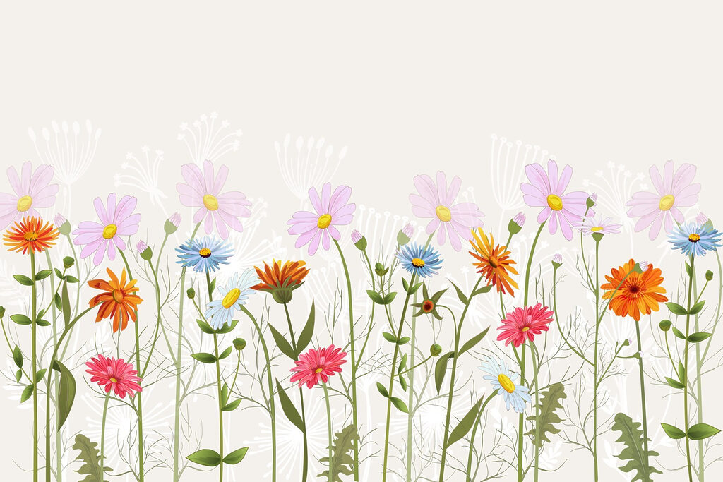 Row of colorful flowers