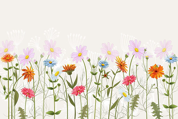 Row of colorful flowers