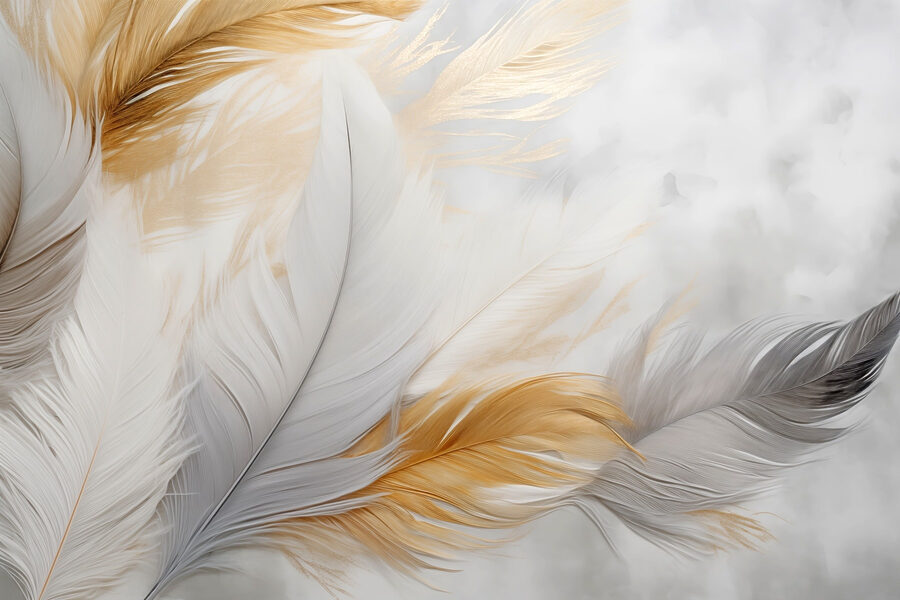 Delicadas plumas en colores suaves