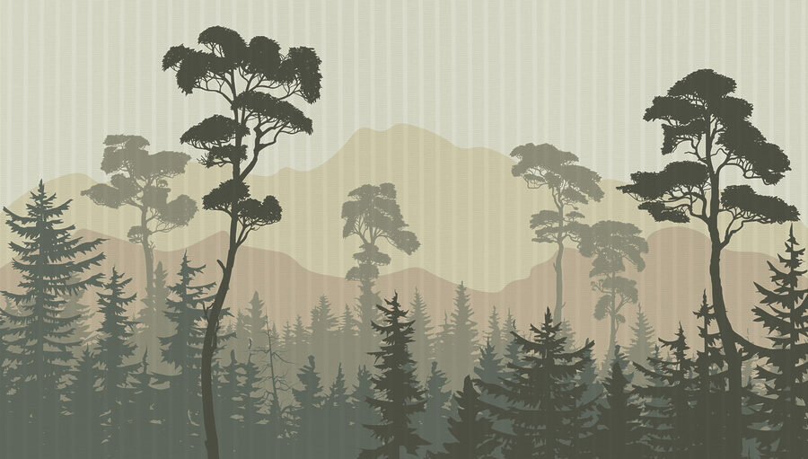 Paisaje de árboles y montañas