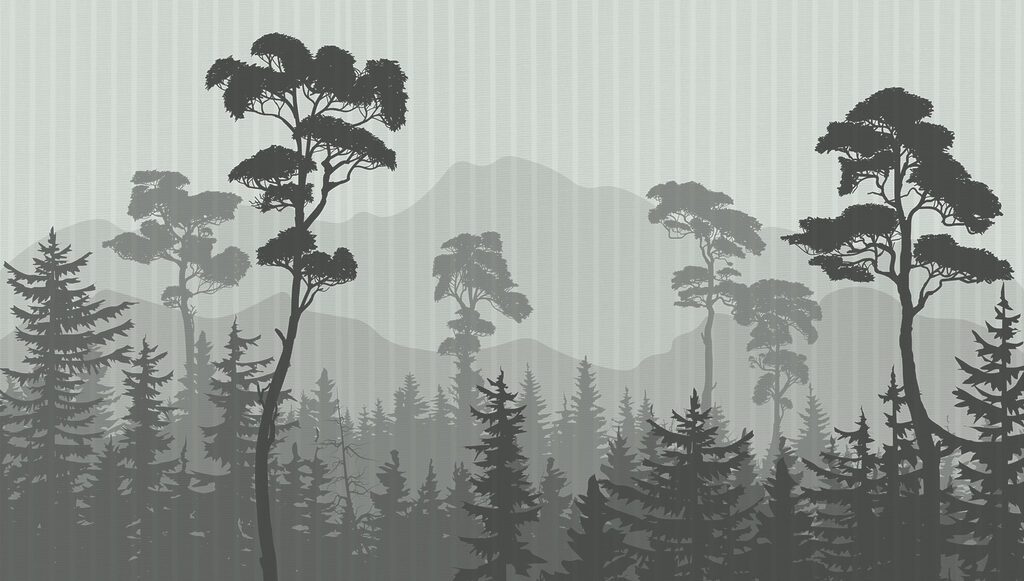 Bosque con montañas y árboles Bosque con montañas y árboles