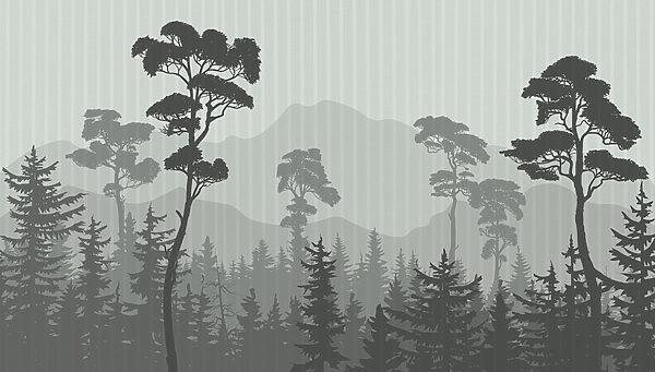 Bosque con montañas y árboles Bosque con montañas y árboles