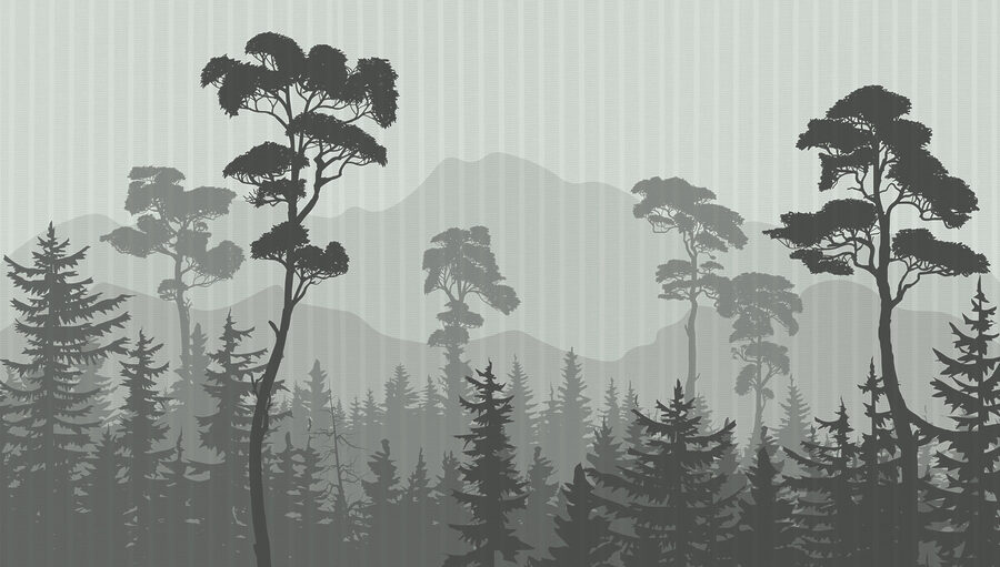Bosque con montañas y árboles