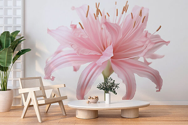 Fotomurales Fotomurales Los delicados pétalos se despliegan con gracia (SKU: w03488)