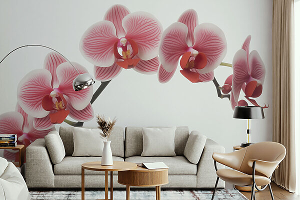 Fotomurales Fotomurales Delicadas orquídeas en suave floración (SKU: w03499)