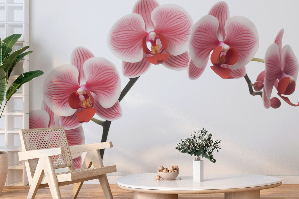Delicate orchids in gentle bloom
