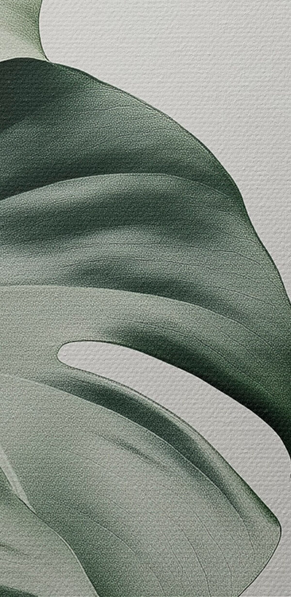 Lush green leaves in soft light