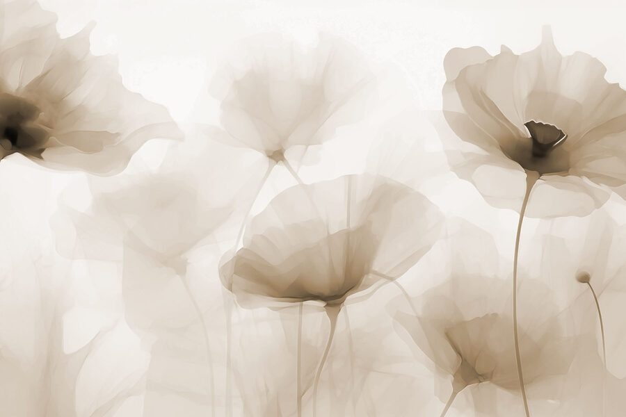 Grupo de flores sobre fondo blanco