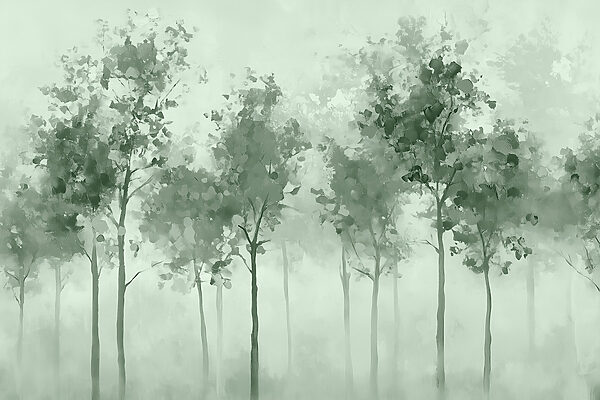 Grupo de árboles en la niebla Grupo de árboles en la niebla
