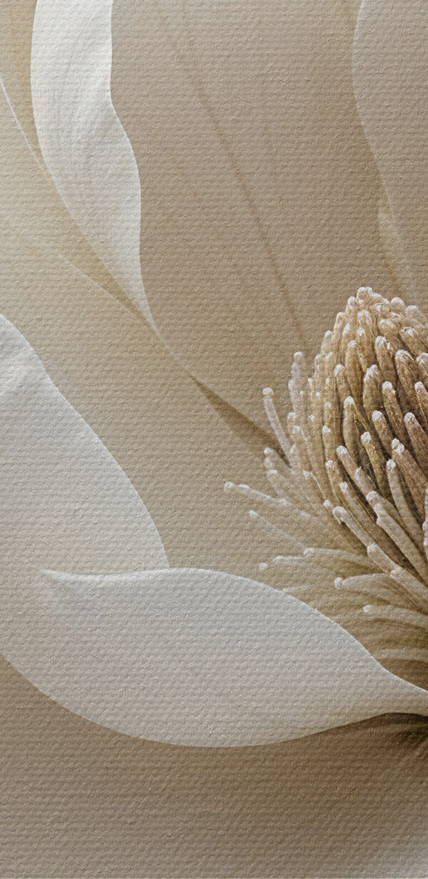 Delicate blooms in soft hues Delicate blooms in soft hues