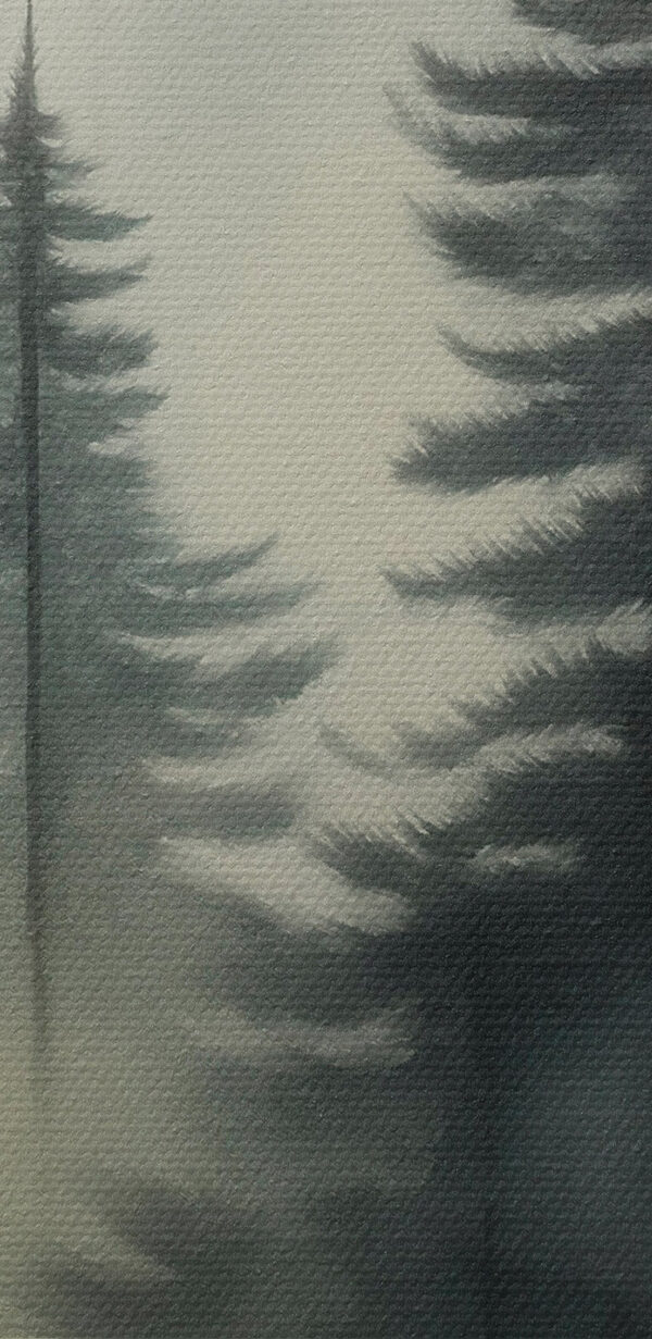 Foggy forest with trees Foggy forest with trees