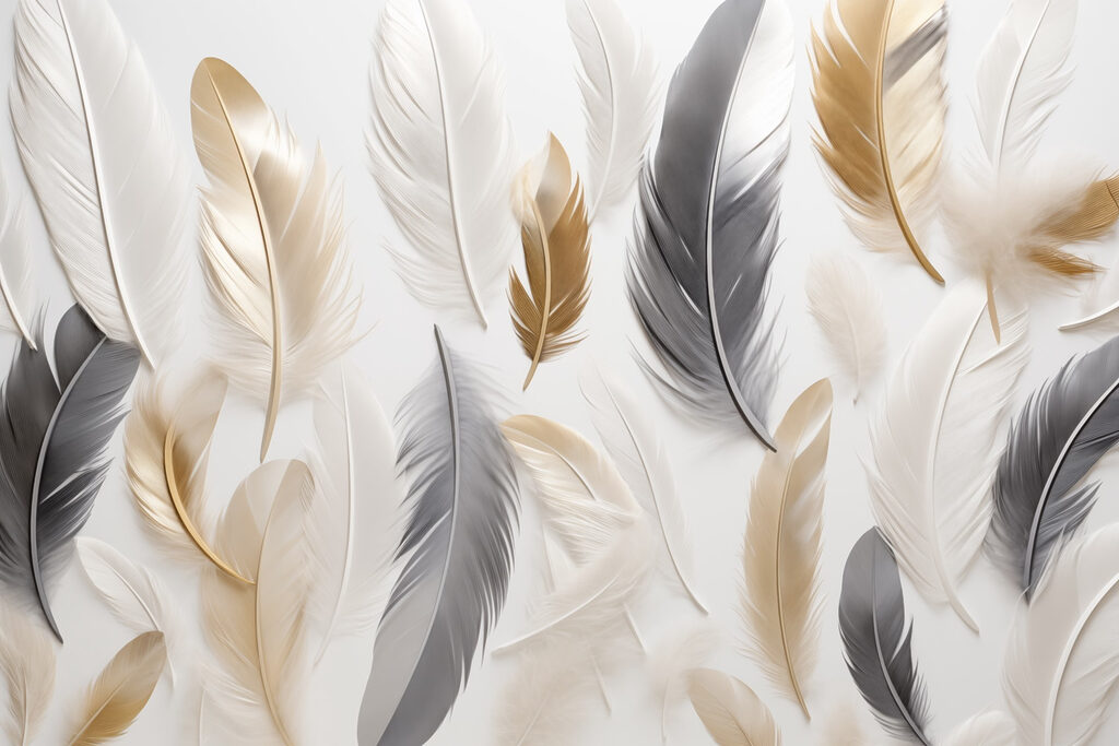 Group of feathers on a white surface