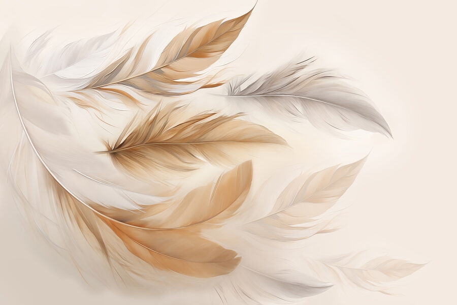 Grupo de plumas de diferentes colores
