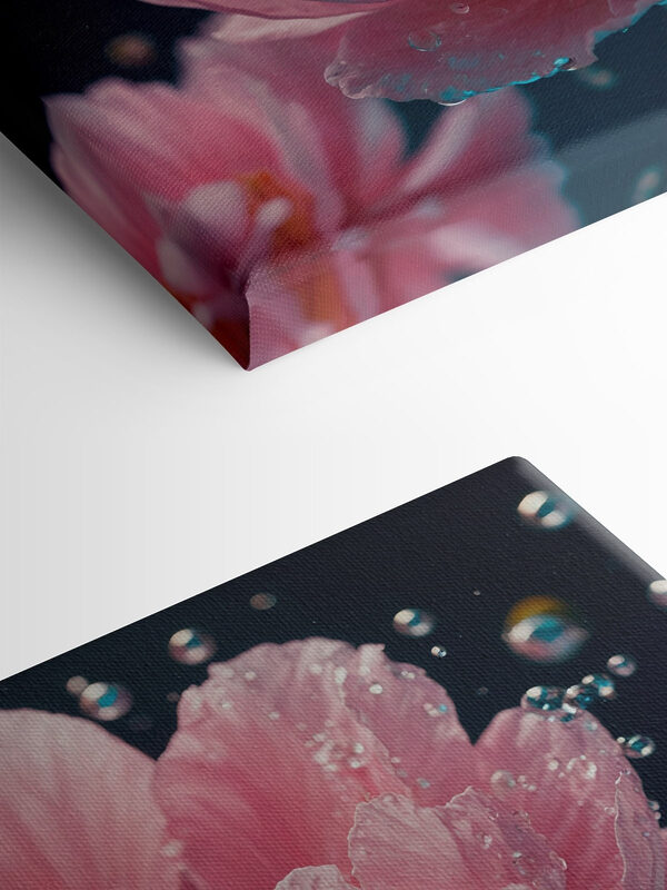 Delicate petals in tranquil water