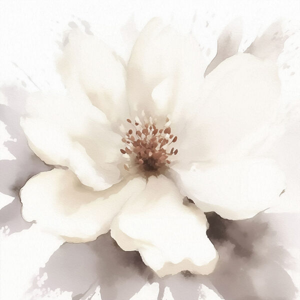 White flower with brown center White flower with brown center