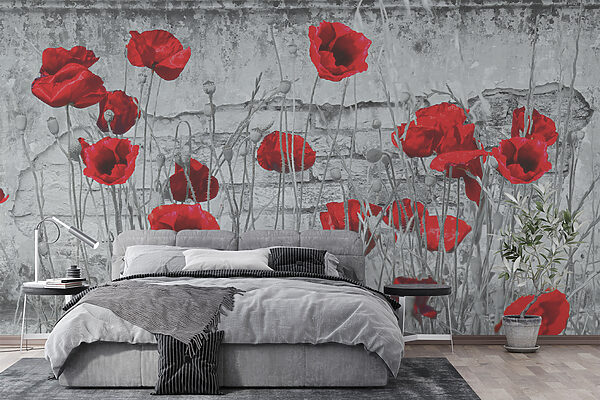 Red flowers in a field