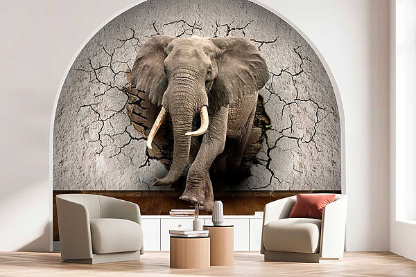 Un elefante atravesando un muro Un elefante atravesando un muro