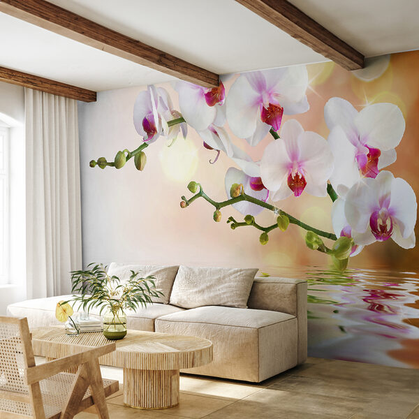 Orquídeas blancas en una rama con ondas de agua Orquídeas blancas en una rama con ondas de agua