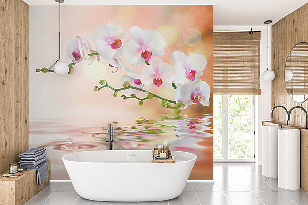 Orquídeas blancas en una rama con ondas de agua Orquídeas blancas en una rama con ondas de agua