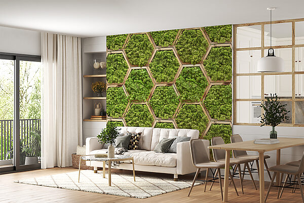 Muro de plantas en hexágonos Muro de plantas en hexágonos
