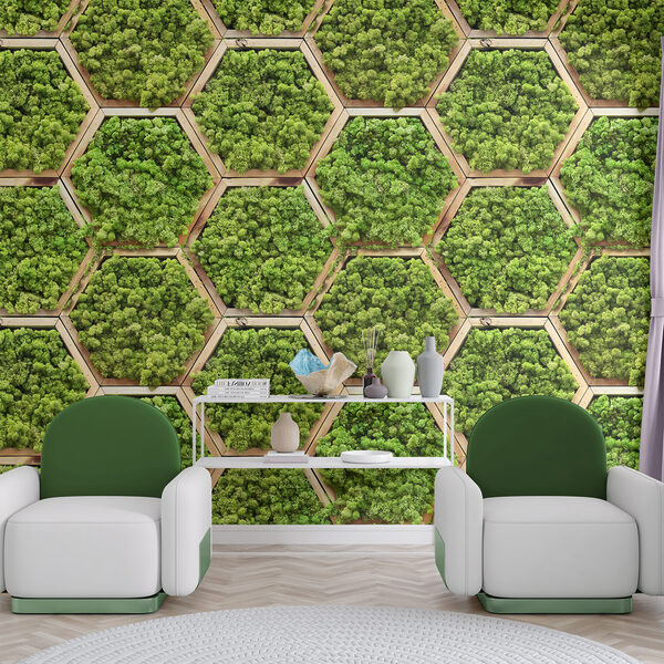 Muro de plantas en hexágonos Muro de plantas en hexágonos