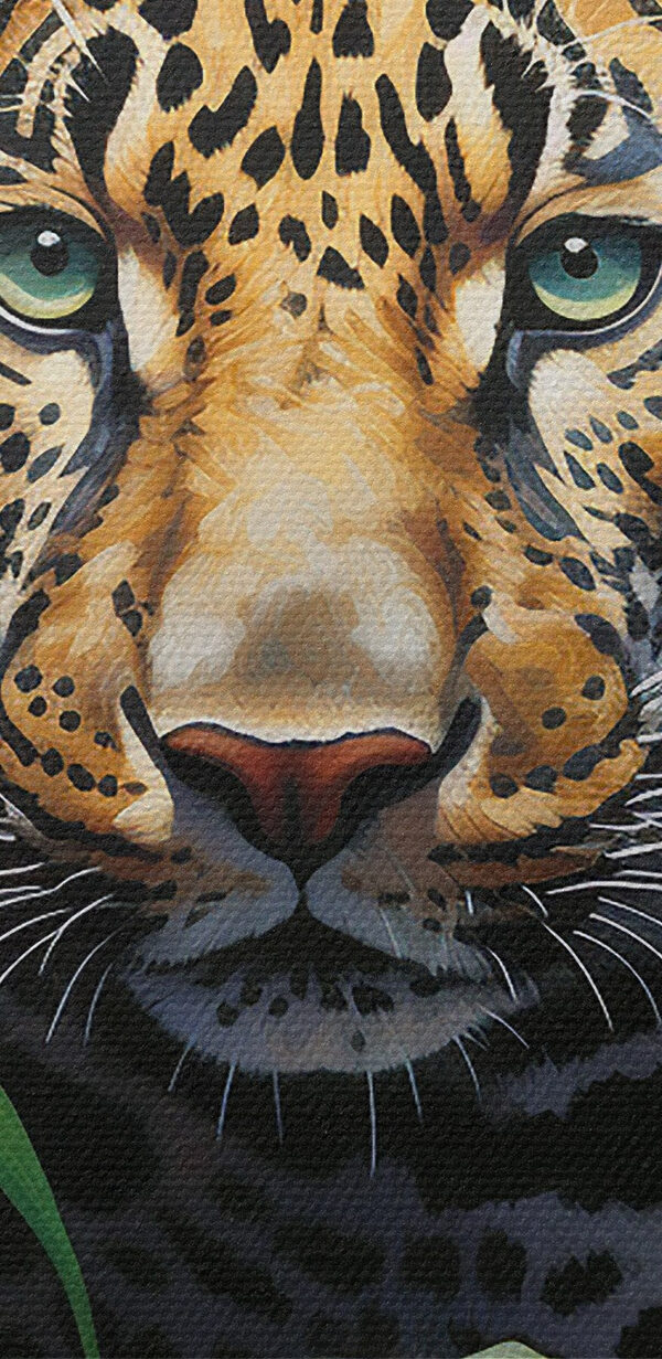 Leopard in the jungle Leopard in the jungle
